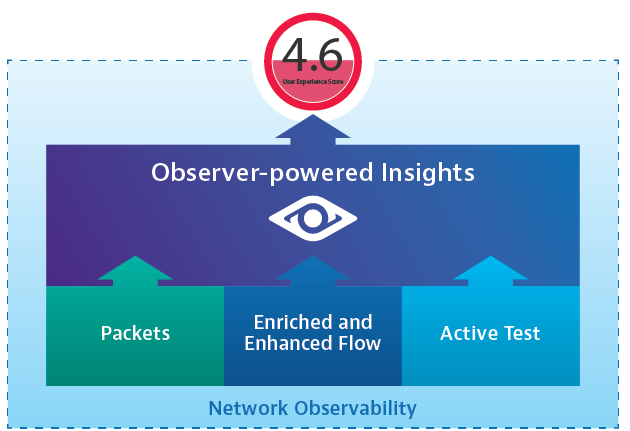 Nitro Insights Powered by Observer