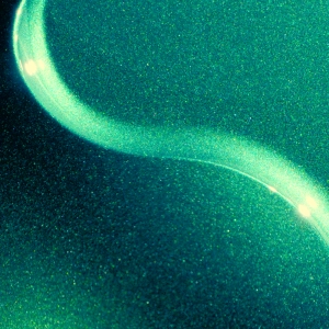 Digital Nature - Biophillic Green