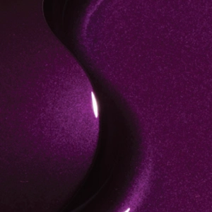 Color Trends - Omnivore - Elderberry