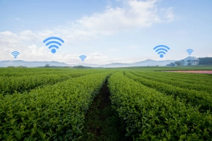The rural broadband rollout is coming