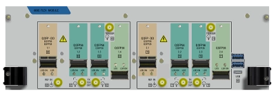 ONT 800G FLEX Module