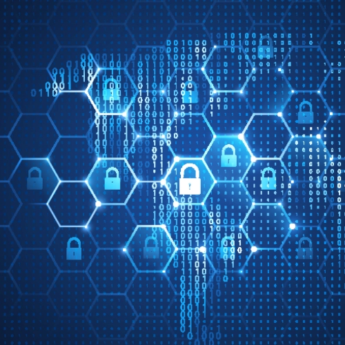 Fiber Characterization