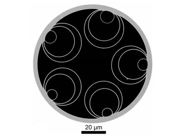 Double nested anti-resonant nodeless fiber (DNANF) Double nested anti-resonant nodeless fiber (DNANF)