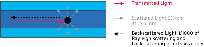 Rayleigh scattering and backscattering effects in fiber