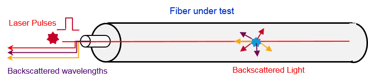 Fiber Sensor Under Test