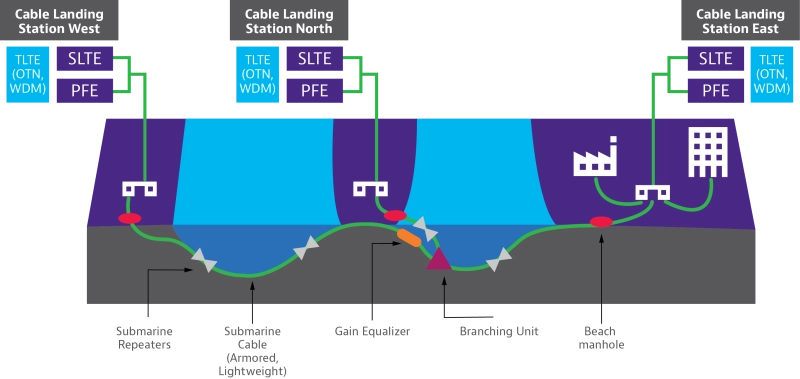 Flat Sub Cable Network Diagram Flat Sub Cable Network Diagram