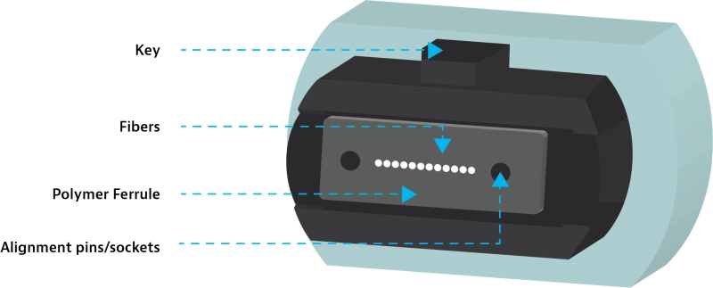 Important components of an MPO connector