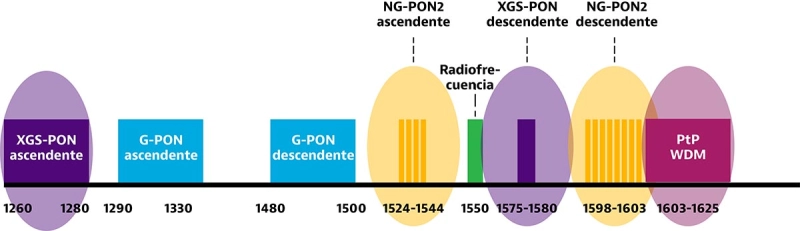 PON Wavelength Allocation and Coexistence