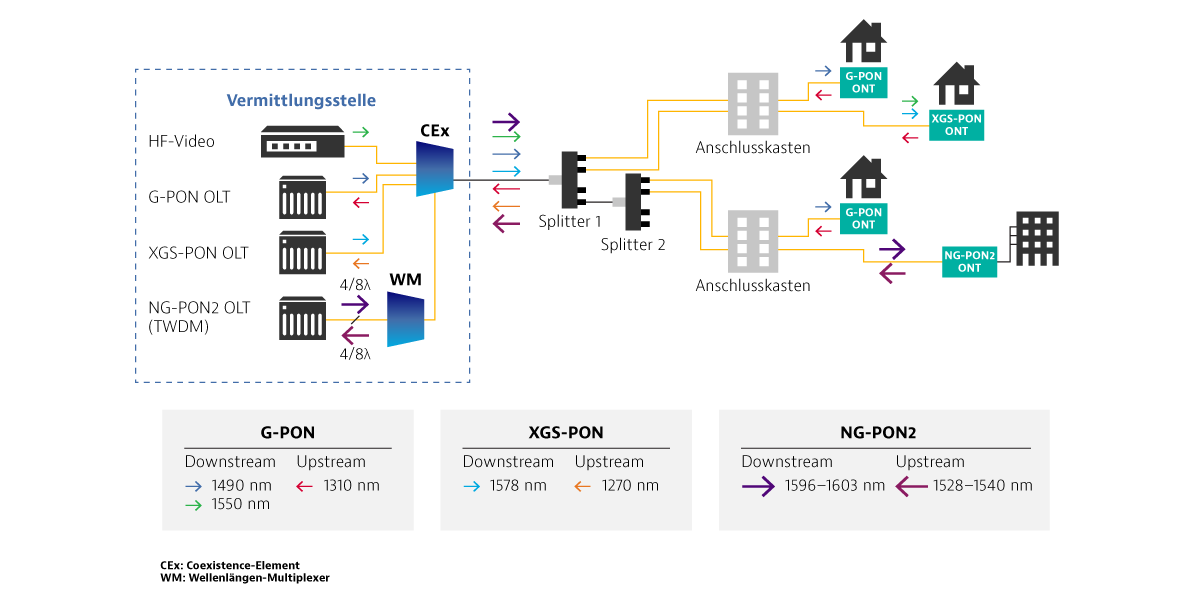 PON Architecture