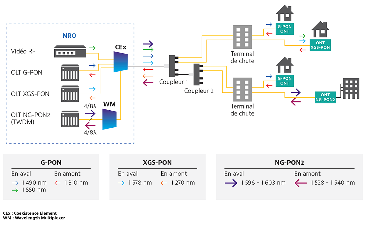 PON Architecture